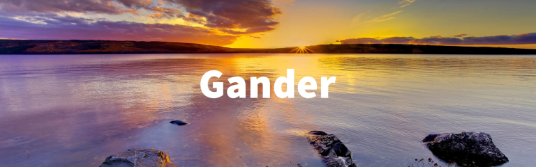 Gander and Surrounding Area Rentals and Houses for Sale!